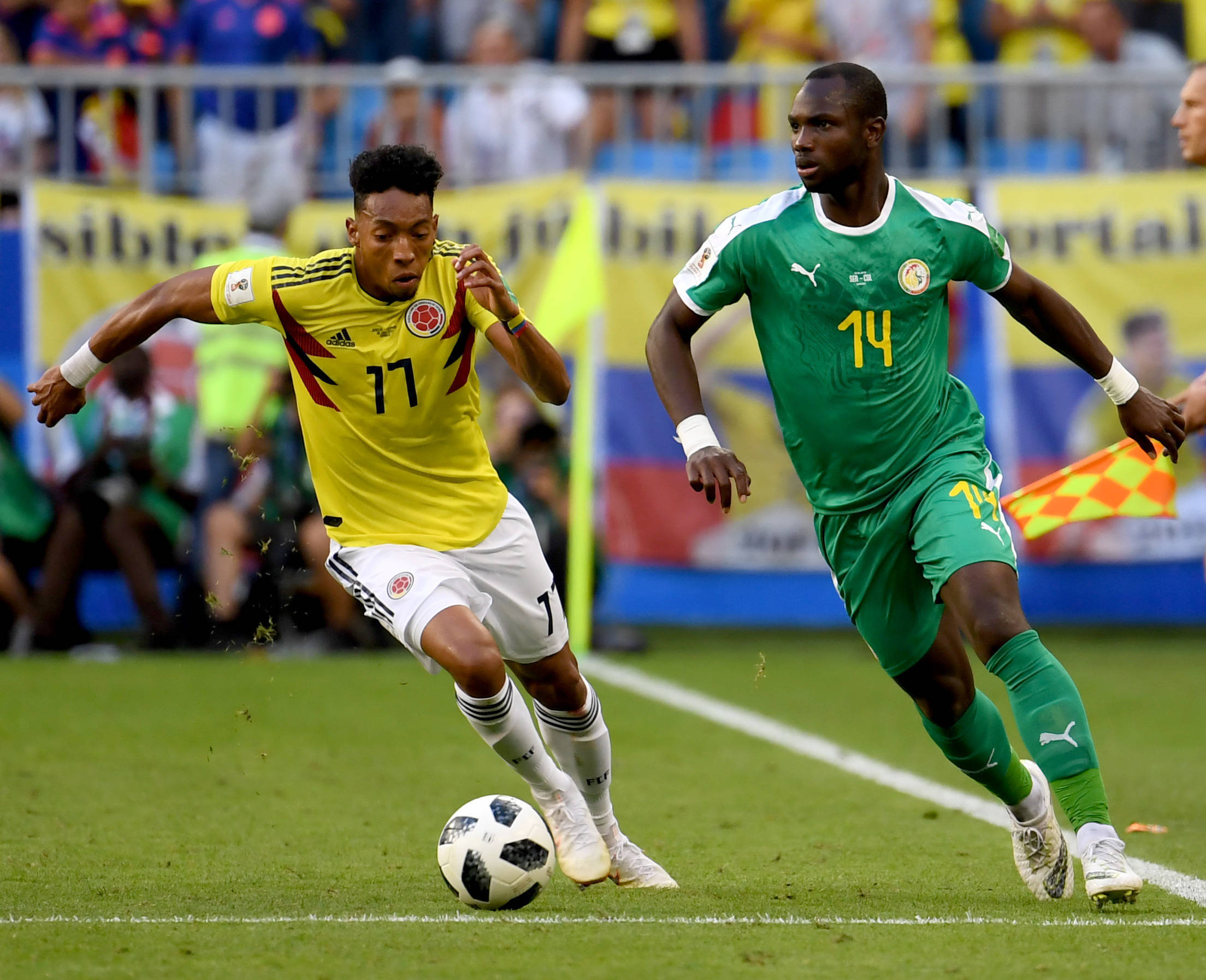 付高昂的费 付高昂的费